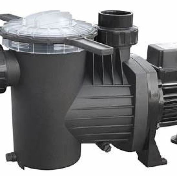 Saci Saci Winner 200M Self-Priming Pump for Swimming Pools 2HP
